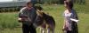 Photo for Online Animal Ceremonies Officiant Classes