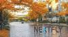 Photo for Phoenix Web Design Company