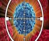 Photo for Global Small Molecule Targeted Cancer Therapy Market (Types and Geography) - Size, Share, Global Trends, Company Profiles, Demand, Insights, Analysis, Research, Report, Opportunities, Segmentation and Forecast, 2012 - 2020