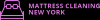 Photo for Mattress Cleaning NY