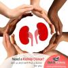 Photo for Kidney Donor Match