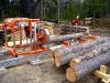 Photo for Europe Sawmill Market Report 2016