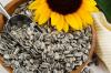Photo for United States Sunflowers Seed Market Report 2016