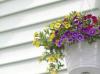 Photo for Siding Installation Guys