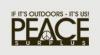 Photo for Peace Surplus
