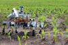 Photo for Global Agricultural Robots Market Research Report 2016