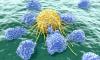 Photo for Personalized Cell Therapy Market - Industry Analysis, Size, Share, Growth, Trends and Forecast to 2024