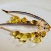 Photo for Global Fish Oil Market to register $2.93 Bn growth by 2020