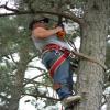 Photo for Chris Cox Tree Works