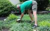 Photo for Septic Inspection Guys