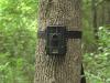 Photo for Global Game Camera Market Research Report 2017