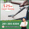 Photo for Carpet Cleaning Manvel