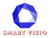 Photo for Smart Vizio Internet Marketing