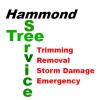 Photo for Hammond Tree Service