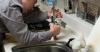 Photo for Dania Beach Plumbing Services