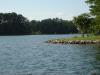 Photo for Lake Murray SC Lakefront Home Sales in June 2010 - All Lake Murray Real Estate For Sale