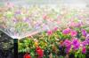 Photo for Winterize Sprinkler System Guys