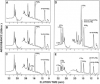 Photo for sphingolipid metabolism