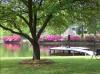 Photo for Shadblow Homes for Sale West Columbia SC Real Estate