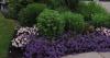 Photo for Lawn Treatment Guys
