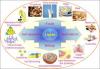 Photo for human oral primary cells