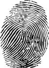 Photo for Global Fingerprint Cards Sales Market Report 2016