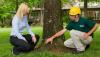 Photo for Tree Care Crew