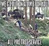 Photo for All Pro Tree Service