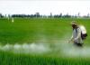 Photo for Insecticides Market is expected to grow to $16.7 Billion, Globally, by 2020