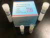 Photo for primary fibroblasts