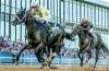 Photo for Where To Watch Kentucky Derby 2017 Live Stream Online ?