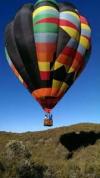 Photo for Compass Balloons