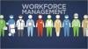 Photo for Global Workforce Management Market Will Flourish by 2016 – 2024
