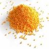 Photo for Global Blowing Agents Market Growth, Size or Share Estimated to increase by 2016 – 2024