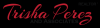 Photo for Trisha Perez & Associates
