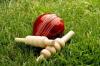 Photo for Live Cricket Scores On Your Mobile Phones