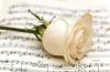 Photo for Get Officiant Online Perform Funeral Ceremony in Oakland , CA