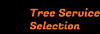 Photo for Arborist Selection - Tree Service Santa Cruz