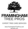 Photo for Framingham Tree Pros