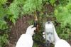 Photo for Global Soil Treatment Market to Record CAGR of 8.0% through 2021