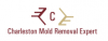 Photo for Charleston Mold Removal Experts