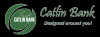 Photo for First National Bank of Catlin