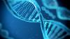 Photo for Global Gene Synthesis Market by Manufacturers, Countries, Type and Application, Forecast to 2022