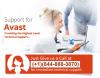 Photo for Call Avast Support for Antivirus installation, renewal or activation at 1-844-888-3870