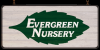 Photo for Evergreen Nursery
