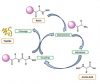 Photo for peptide synthesis
