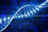 Photo for Global Genomics Market , 2016–2024: Industry Analysis and Forecast Report