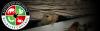 Photo for Raptor Enforcement Wildlife Control (214) 736-5808