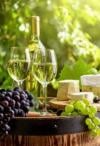 Photo for Sonoma Wine Tour Drivers
