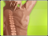 Photo for Haring Chiropractic Center - First Choice Health Group
